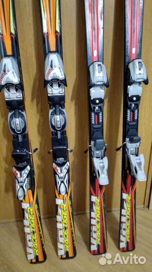 Горные лыжи спортцех