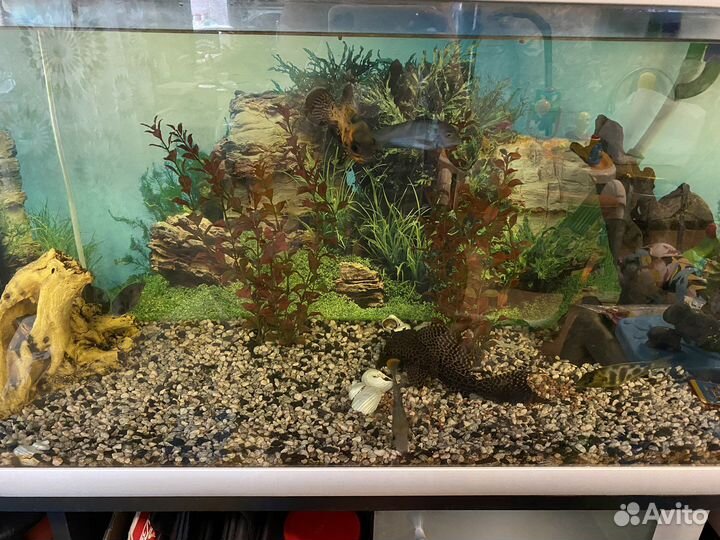 Аквариум с тумбой 220 литров