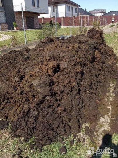 Навоз коровий