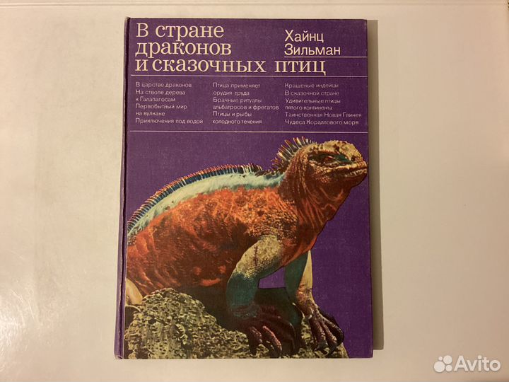 Рассказы о животных; собаки и кошки