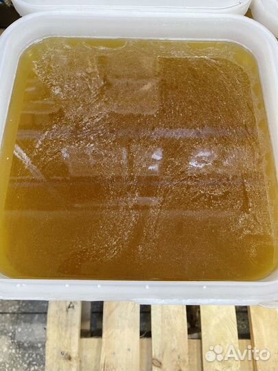 Цветочный мед оптом свежая качка