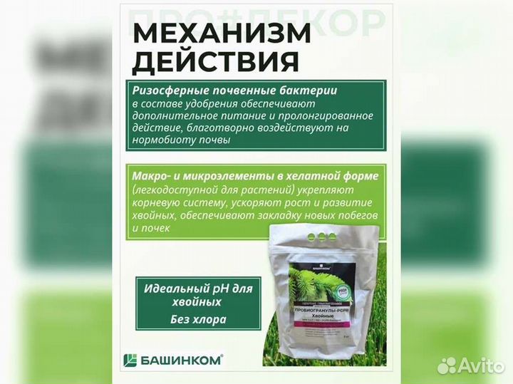 Пробиогранулы pgpr для хвойных