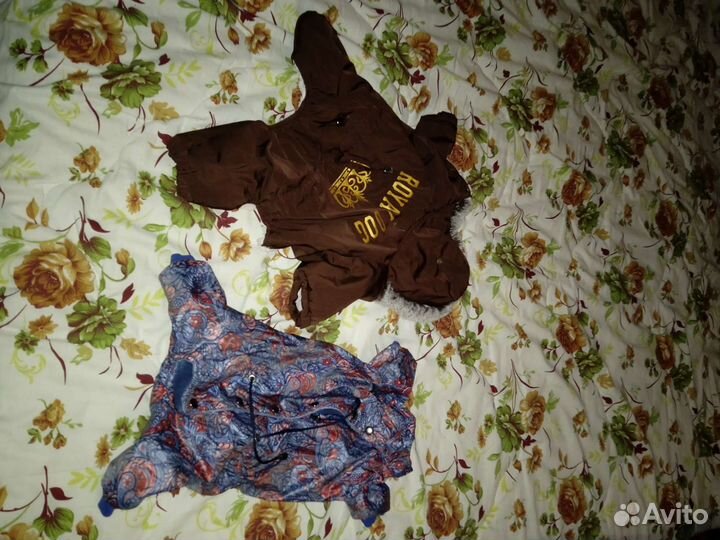 Одежда для собак мелких пород