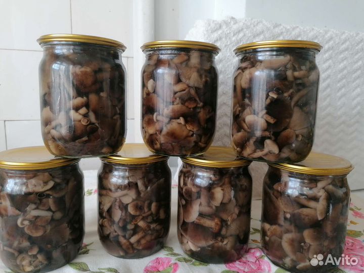 Маслята, опята