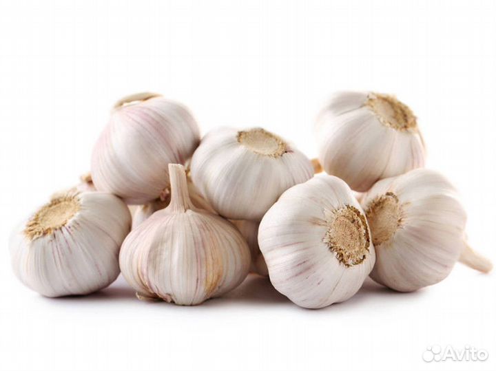 Чеснок с доставкой