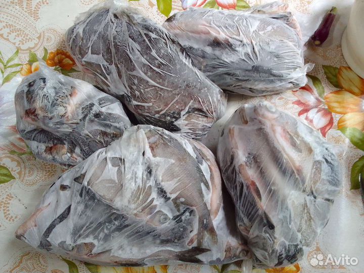 Мелкая рыба на корм для животных