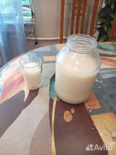 Овсяный кисель по Изотову