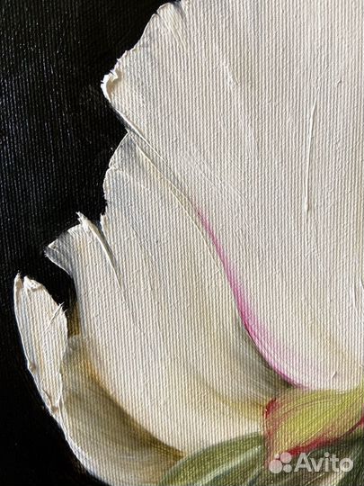 Картина Пион-символ любви