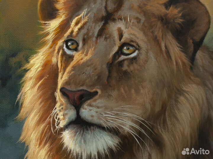 Картина маслом на холсте Лев