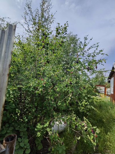 Дача 81 м² на участке 6 сот.