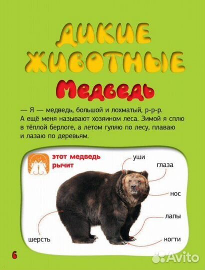 Большая говорящая книга с дополненной реальностью