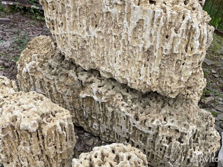 Камни Миотис, Ракушечник для аквариума и ландшафта