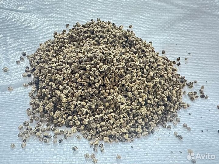 Семена кормовой свеклы