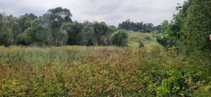 Участок 10 сот. (ИЖС)