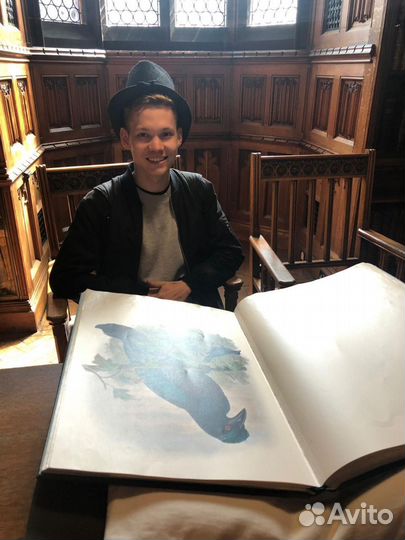 Репетитор по английскому языку онлайн