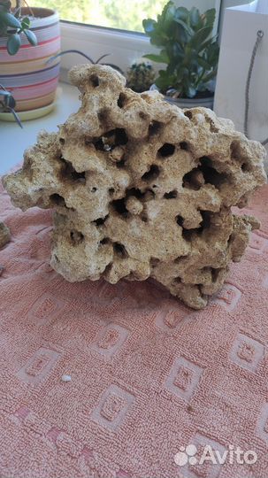 Камень меотис