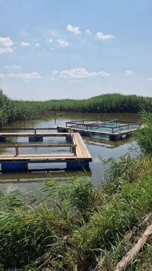 Участок 5 га (СНТ, ДНП)