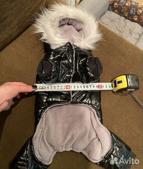 Одежда для собак мелких пород