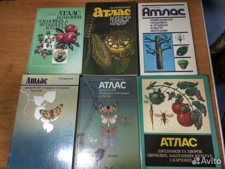 Энтомология Садоводство Виноградарство и т.п