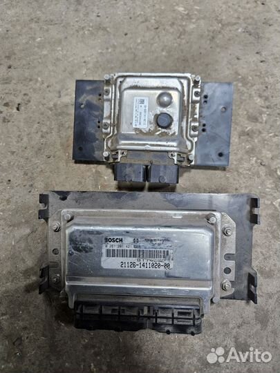 Эбу,мозги приора