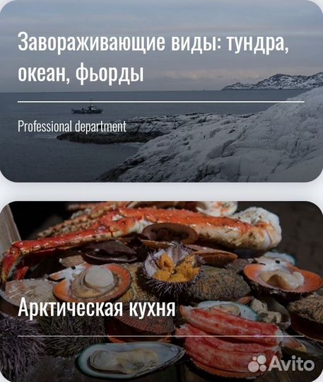 Мурманск-Териберка-Рыбачий-Ловозеро-Хибины-Терь