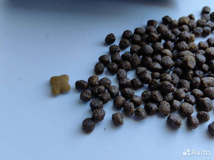 Сухой корм для щенков