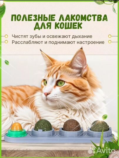 Лакомство для кошек(набор)