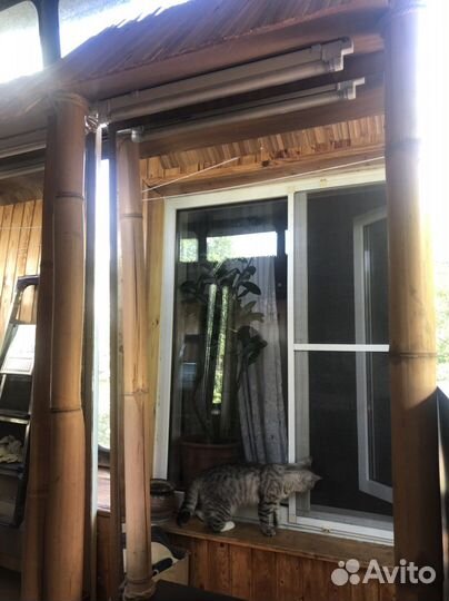 Эксклюзивное зеркало