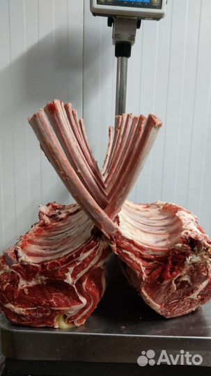 Продажа мяса говядина