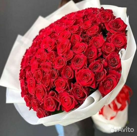 Высокие Розы Гиганты Доставка Круглосуточно