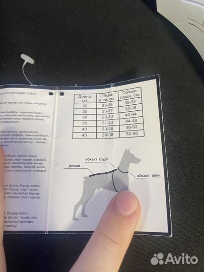 Костюм для кошки.Новый