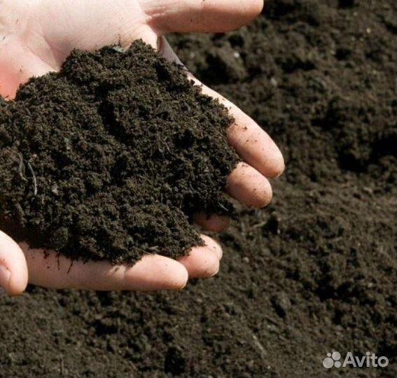 Земля чернозем