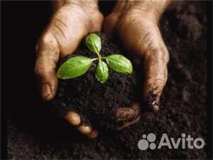 Органическое удобрение биогумус(вермикомпост)