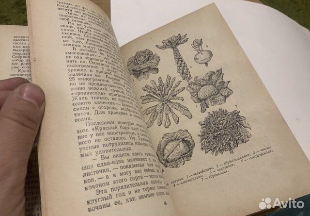 Елагин Исполнение мечты Детгиз 1951