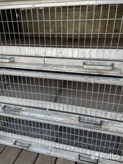 Брудеры для цыплят, утят, гусят, индюшат бу