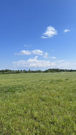Участок 5,4 га (ИЖС)