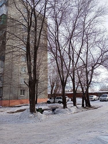 3-к. квартира, 49,2 м², 4/9 эт.