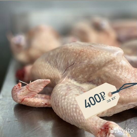 Тушка бройлера