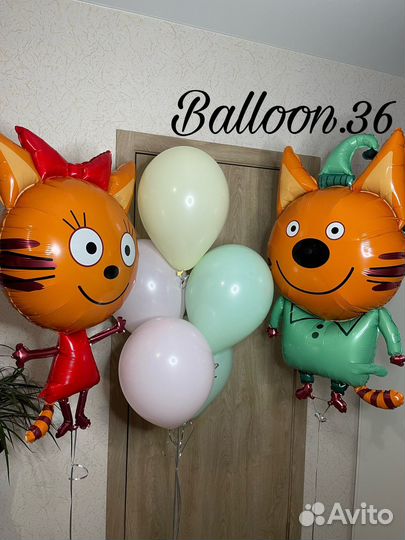 Воздушные шары Воронеж