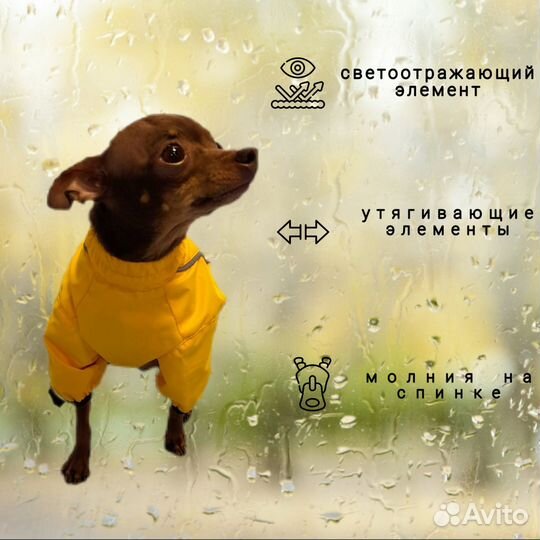 Комбинезон-дождевик для собак S,M,L