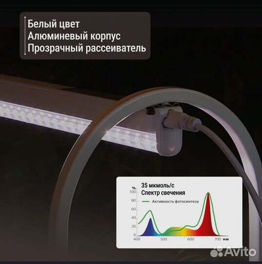 Фитолампа полный спектр