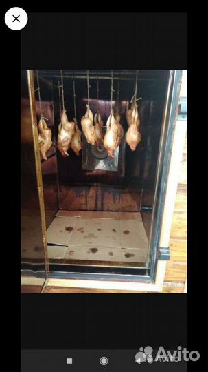 Мясо перепелов