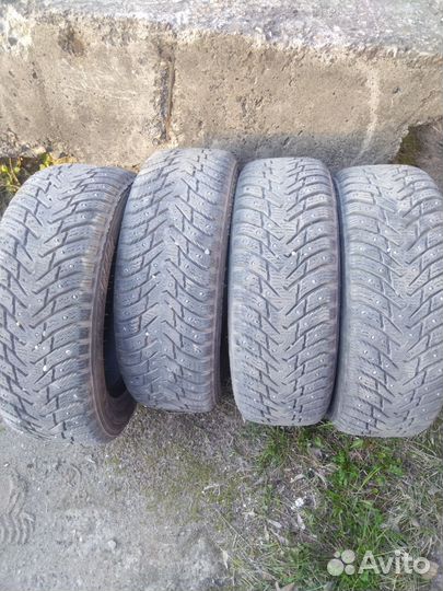 Nokian Tyres Hakkapeliitta 8 175/65 R14