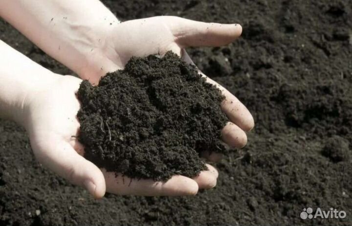 Земля чернозем
