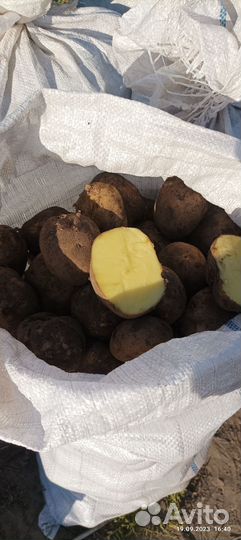 Продам картофель с доставкой