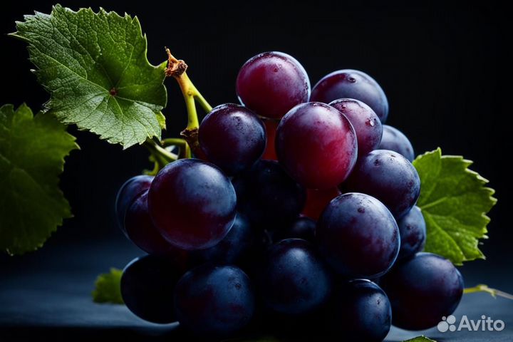 Разнорабочий / Темрюк / Вин-завод