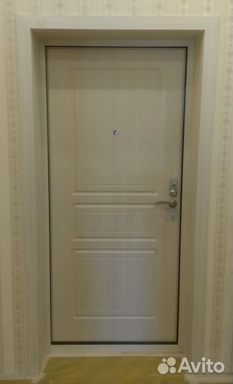 Входные двери для дачи, квартиры дву-687