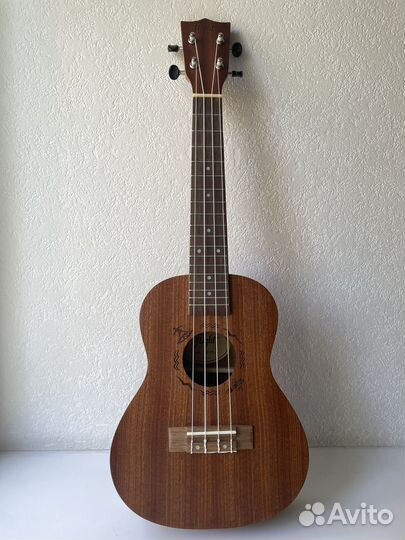 Укулеле flight концерт