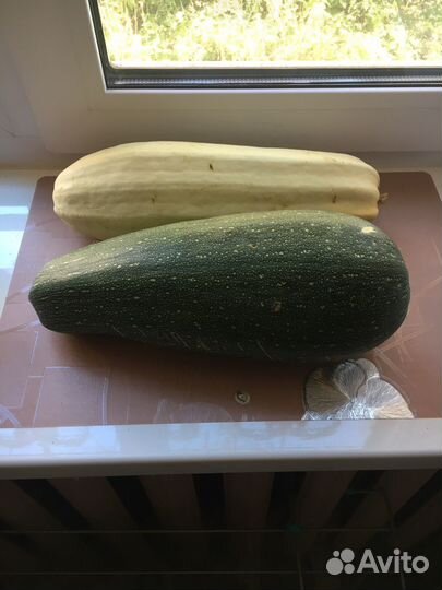 Кабачки свежие