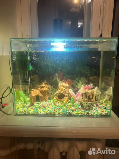 Аквариум